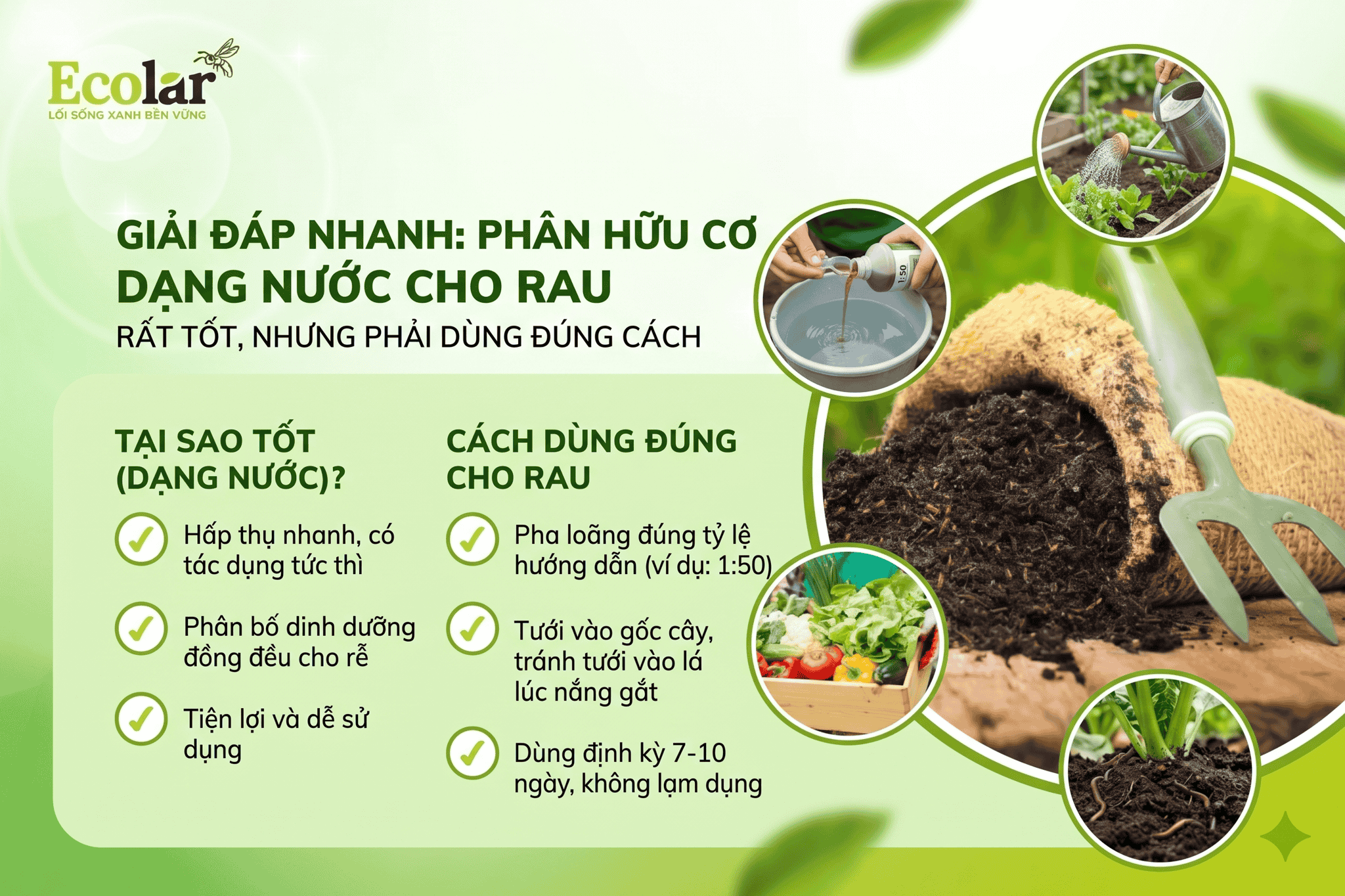 rau-rat-tot-nhung-phai-dung-dung-cach_6aa3d53c4e8e48fa82b376fba7af17bc (1).png