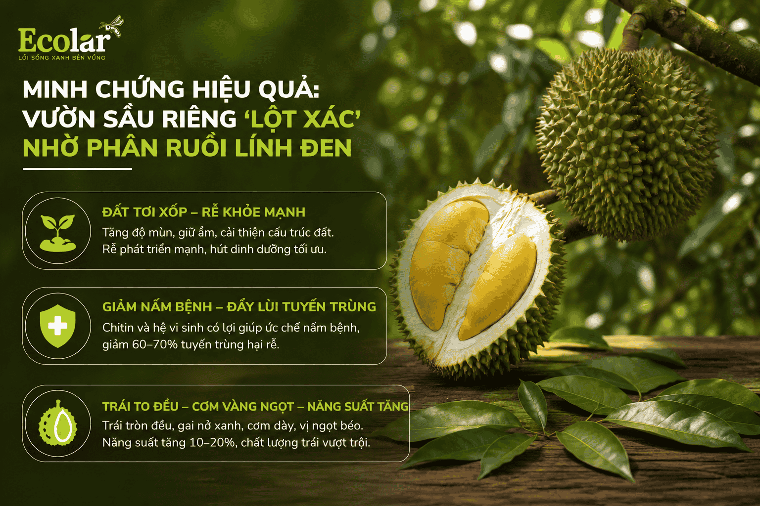 -rieng-lot-xac-nho-phan-ruoi-linh-den_c1de74431062462988c5a4e068217644 (1).png