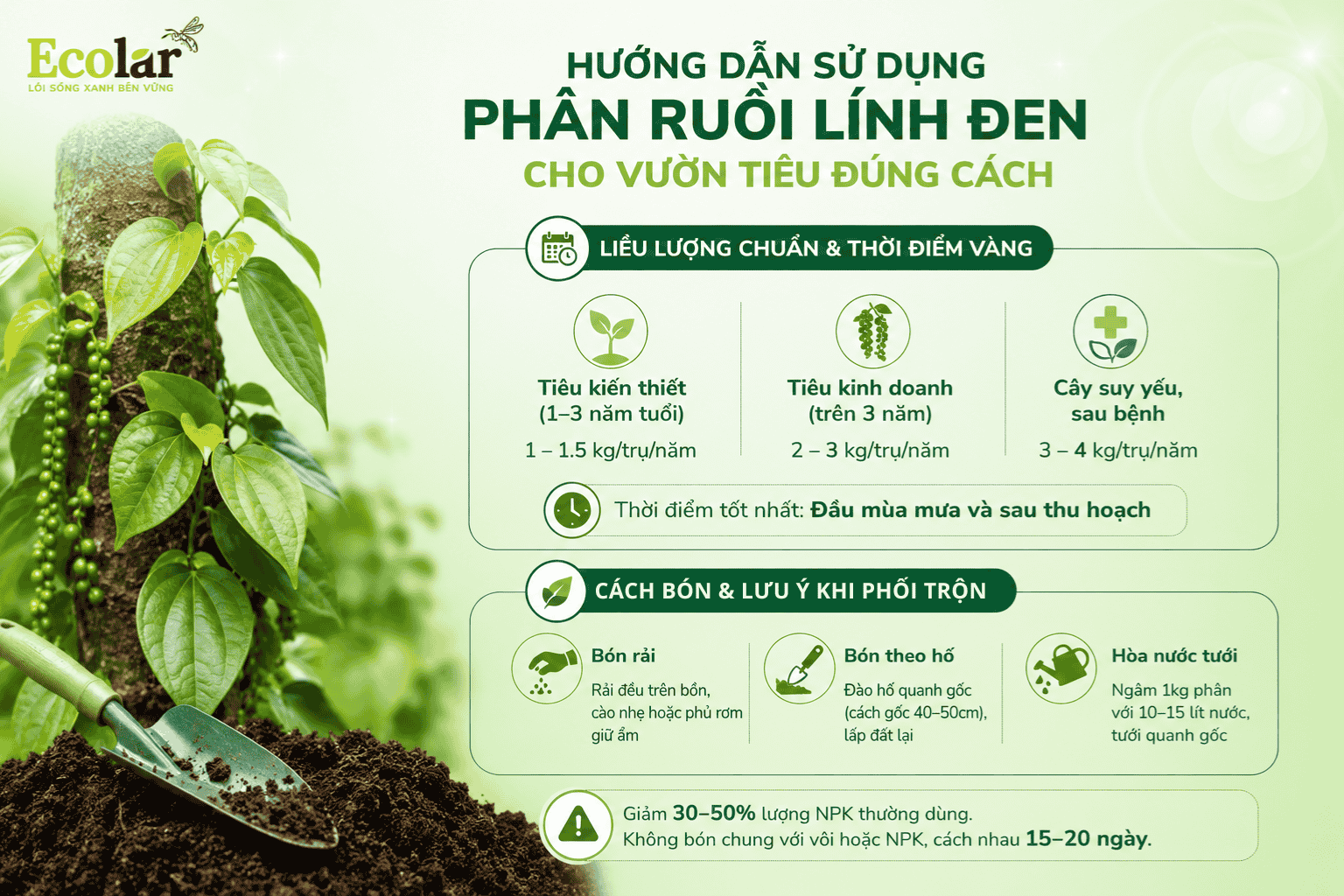 ruoi-linh-den-cho-vuon-tieu-dung-cach_5214ad4a55eb4fbf8c1236831cc3bccc (1).png