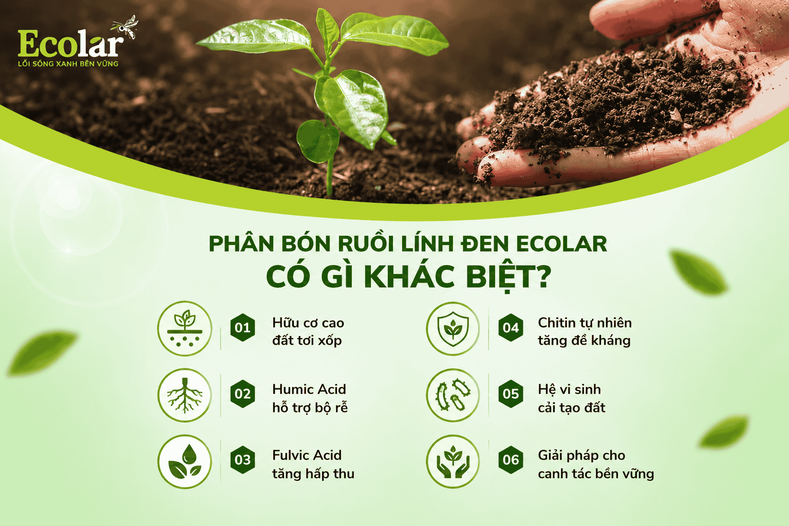 -ruoi-linh-den-ecolar-co-gi-khac-biet_39d255af0cfb4db2845ce07adb5af04a.png