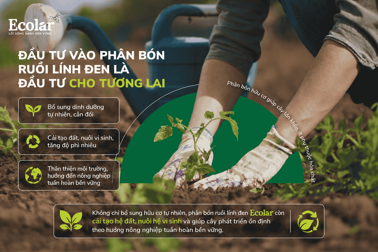ruoi-linh-den-la-dau-tu-cho-tuong-lai_025927279c234f47a6c2e9eeb8ad6939.png