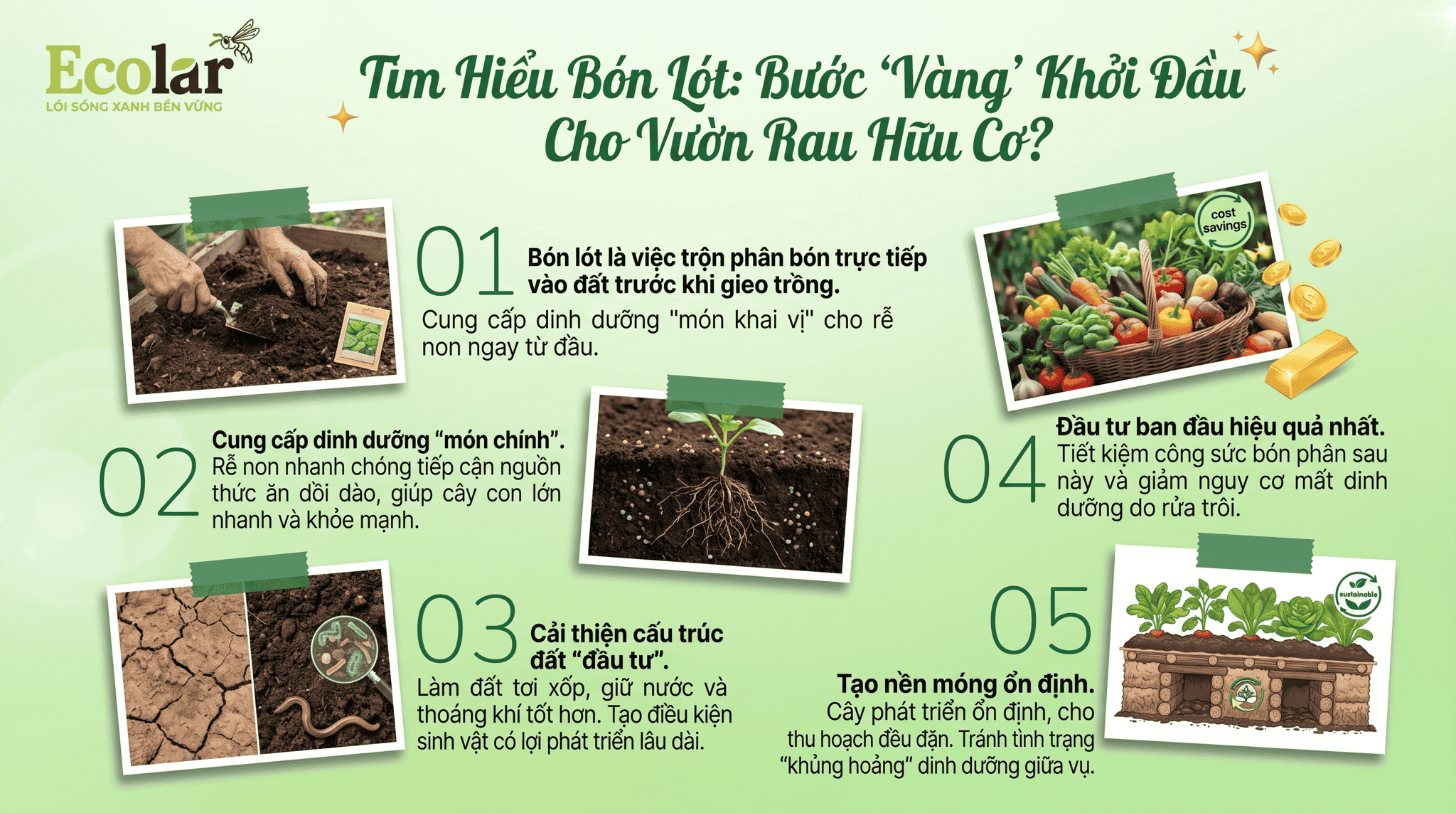 -sao-la-buoc-vang-cho-vuon-rau-huu-co_25e15e5fd1df41429a897e84628d22cd (1).png