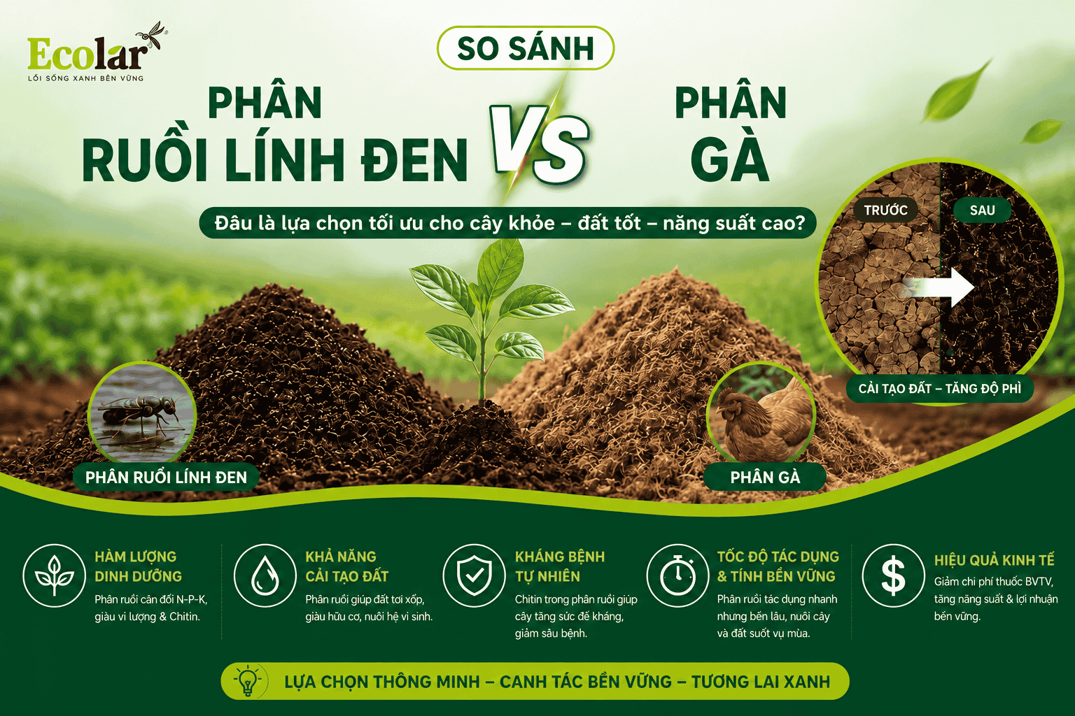 so-sanh-phan-ruoi-linh-den-va-phan-ga-nen-chon-loai-nao_884b018ee148430fa7758ce345606bb3.png
