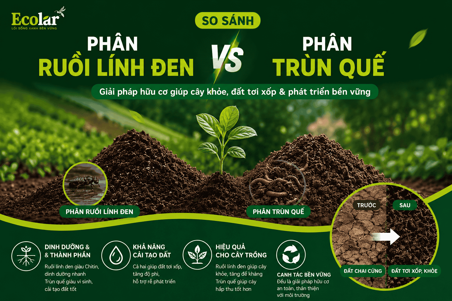 so-sanh-phan-ruoi-linh-den-va-phan-trun-que-nen-chon-loai-nao.png