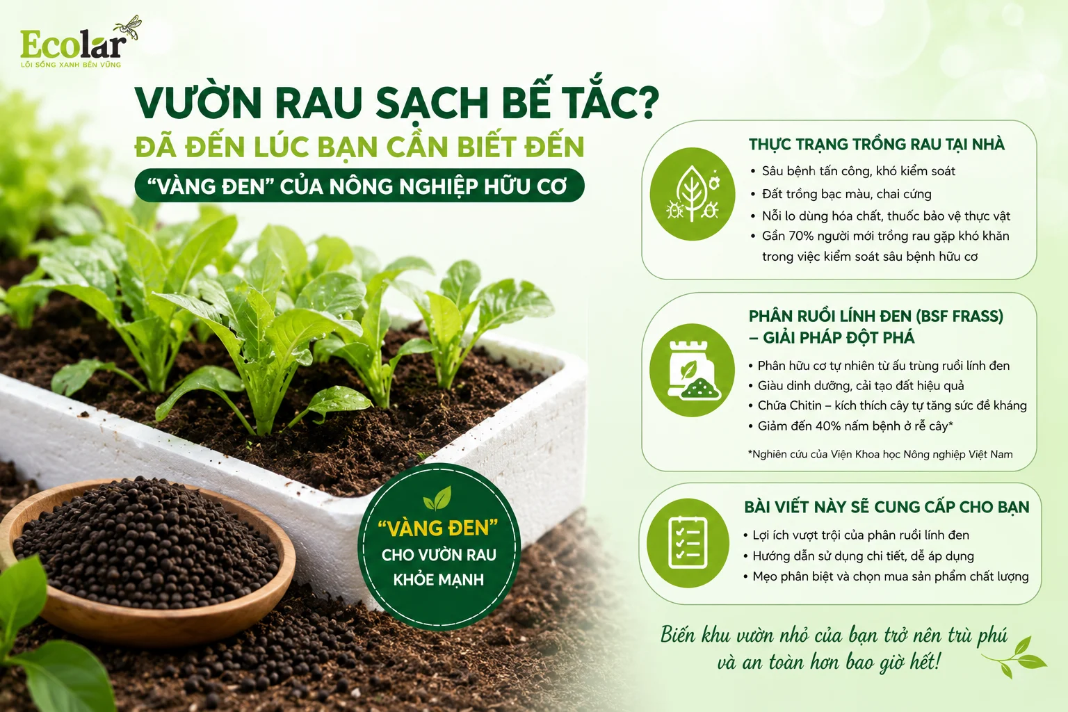 t-den-vang-den-cua-nong-nghiep-huu-co_d7dfa42cc856491c84351082bdf56bee.webp