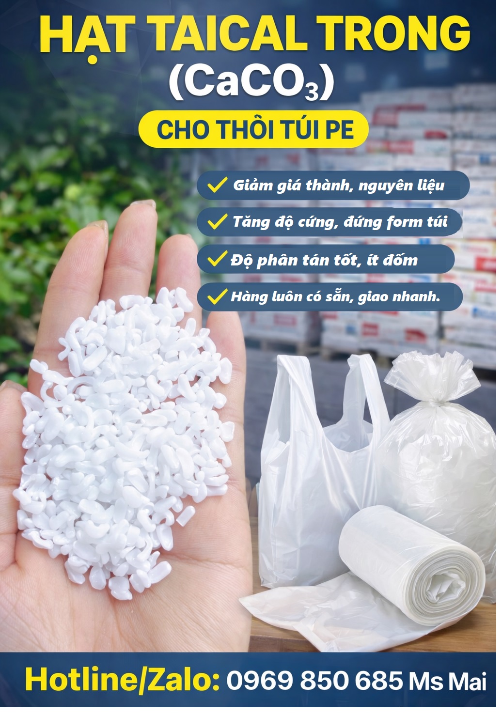 taical  khuyen mai trong.jpg