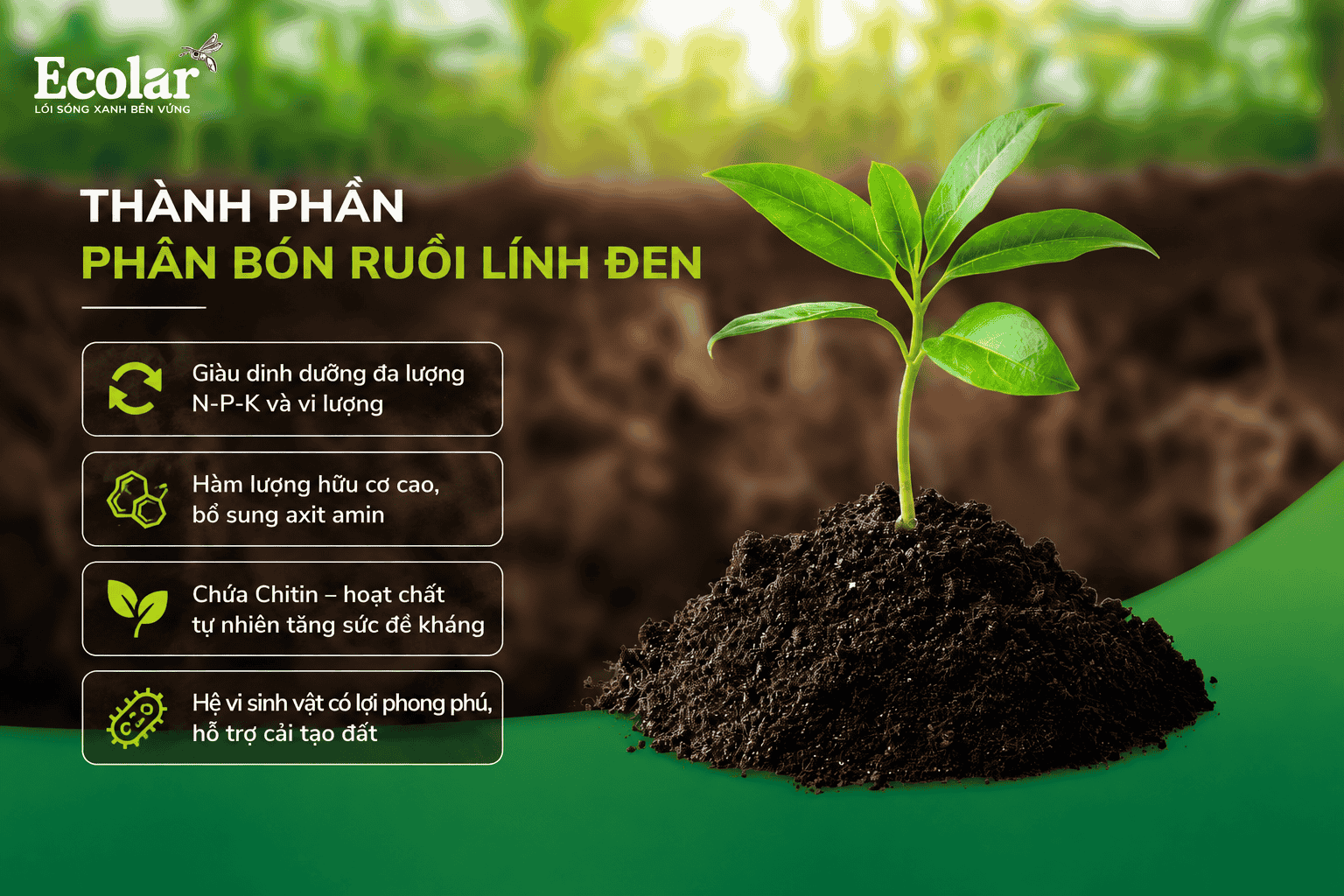 thanh-phan-phan-bon-ruoi-linh-den-va-co-che-cai-tao-dat_7868861f80074f089a1143a40759474d.png