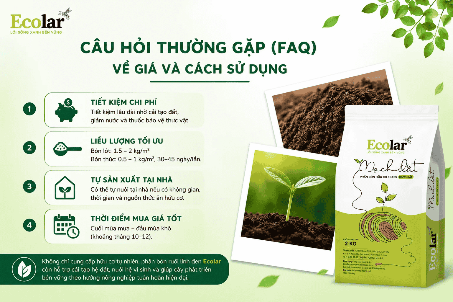 thuong-gap-faq-ve-gia-va-cach-su-dung_4ab1acf0c3eb495180a6e6dc177f1707 (1).png