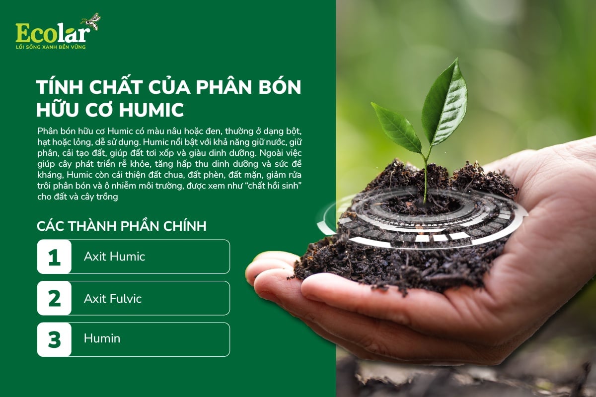 tính chất humic.jpg