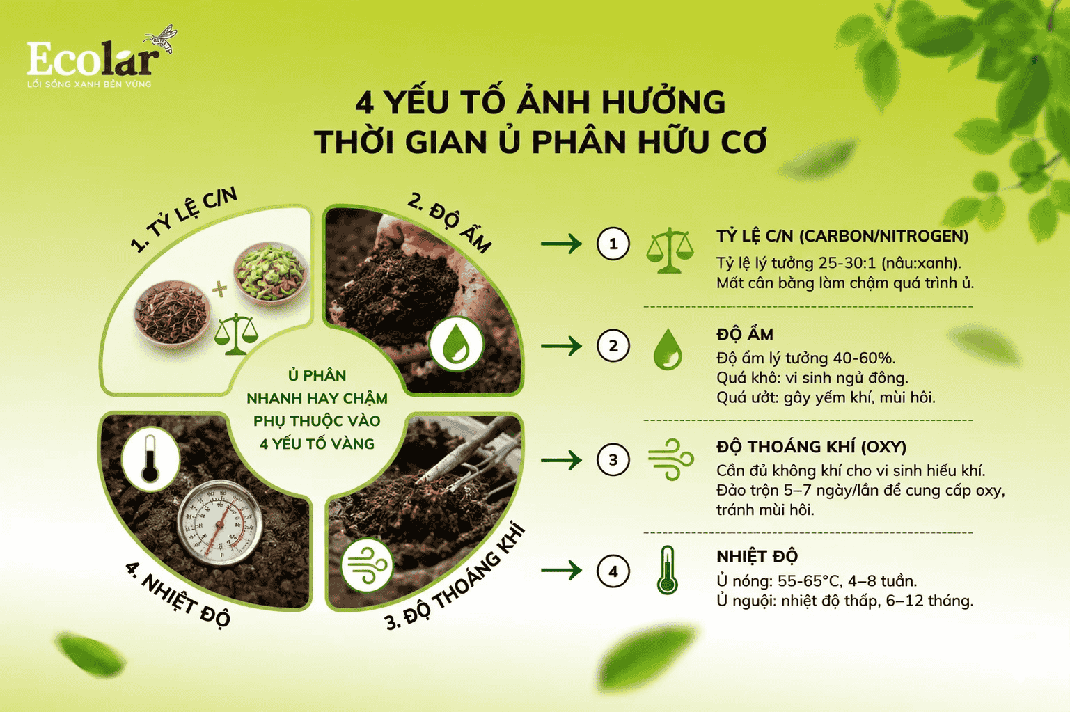 tra-loi-nhanh-va-tai-sao-no-phuc-tap__7089815d513e4a13930aa2df5b8c9423 (1).png