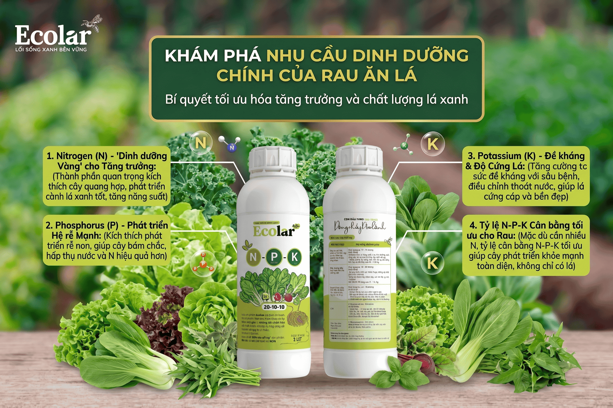 -trung-vao-nitrogen-va-ti-le-can-bang_06422156357641ee92a1fc9caa305d5f (1).png