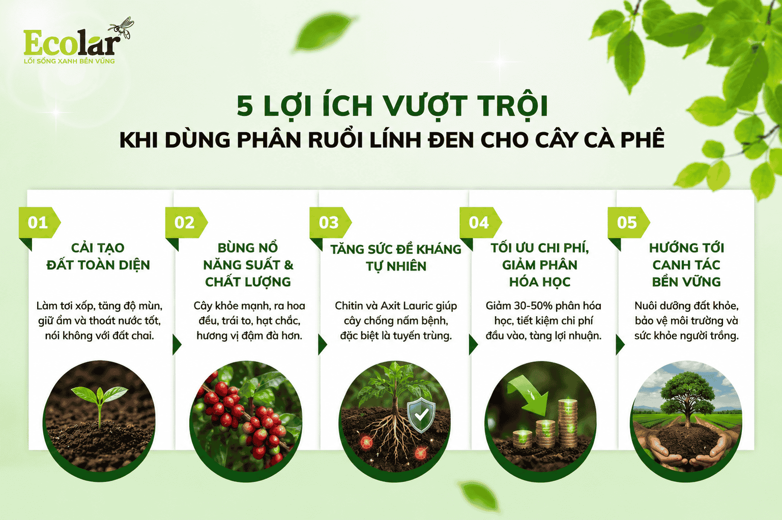 ung-phan-ruoi-linh-den-cho-cay-ca-phe_dcaac11c313a44a581952447f31d6ada (1).png