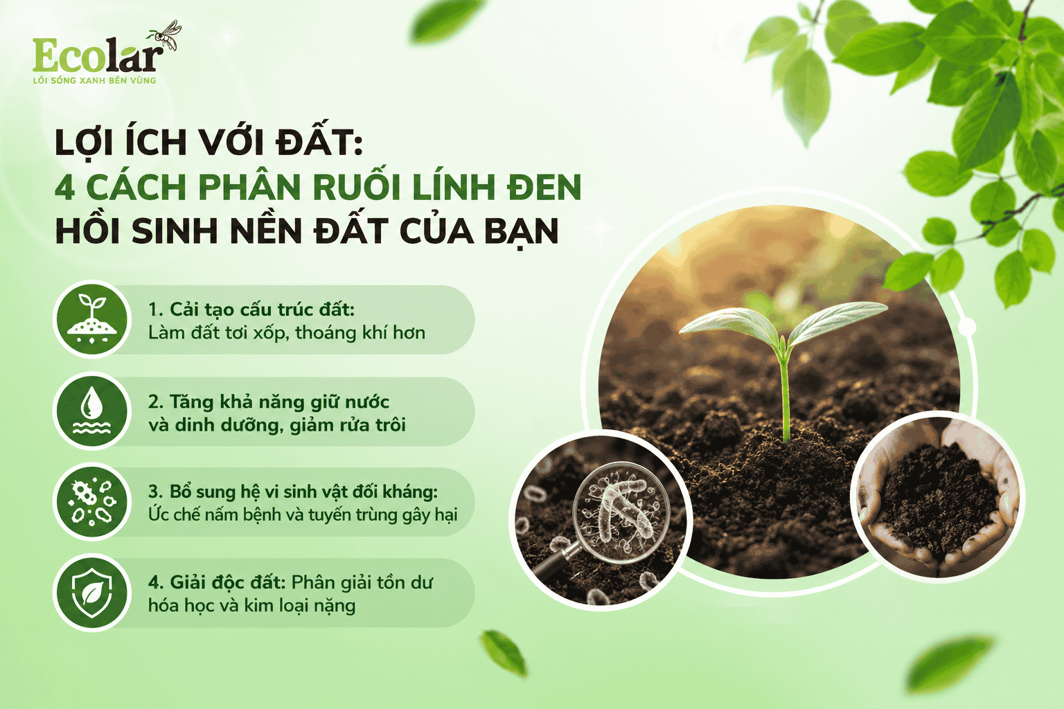 uoi-linh-den-hoi-sinh-nen-dat-cua-ban_38a880eb19bd4b8ea0c4c0a352ad075b.png