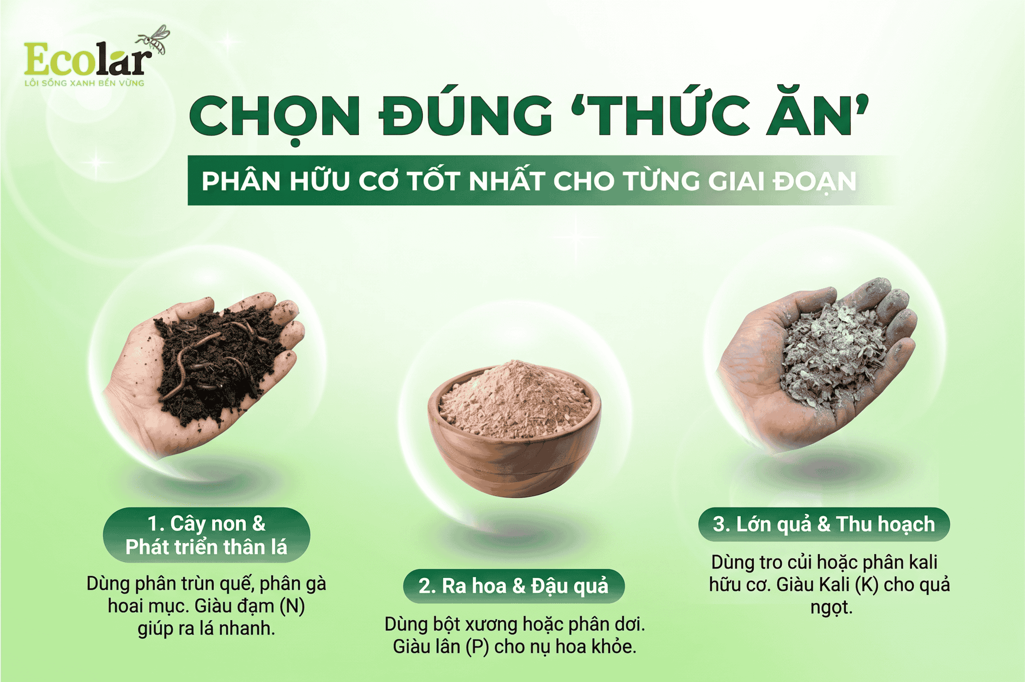 uu-co-nao-tot-nhat-cho-tung-giai-doan_3ee3486ea39e40f6a1c3476a3e42e21e.png