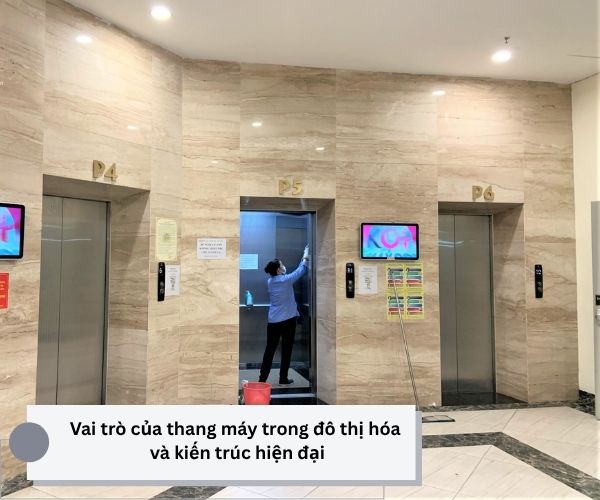 vai-tro-cua-thang-may-tai-khach-trong-do-thi-hoa-va-kien-truc.jpg