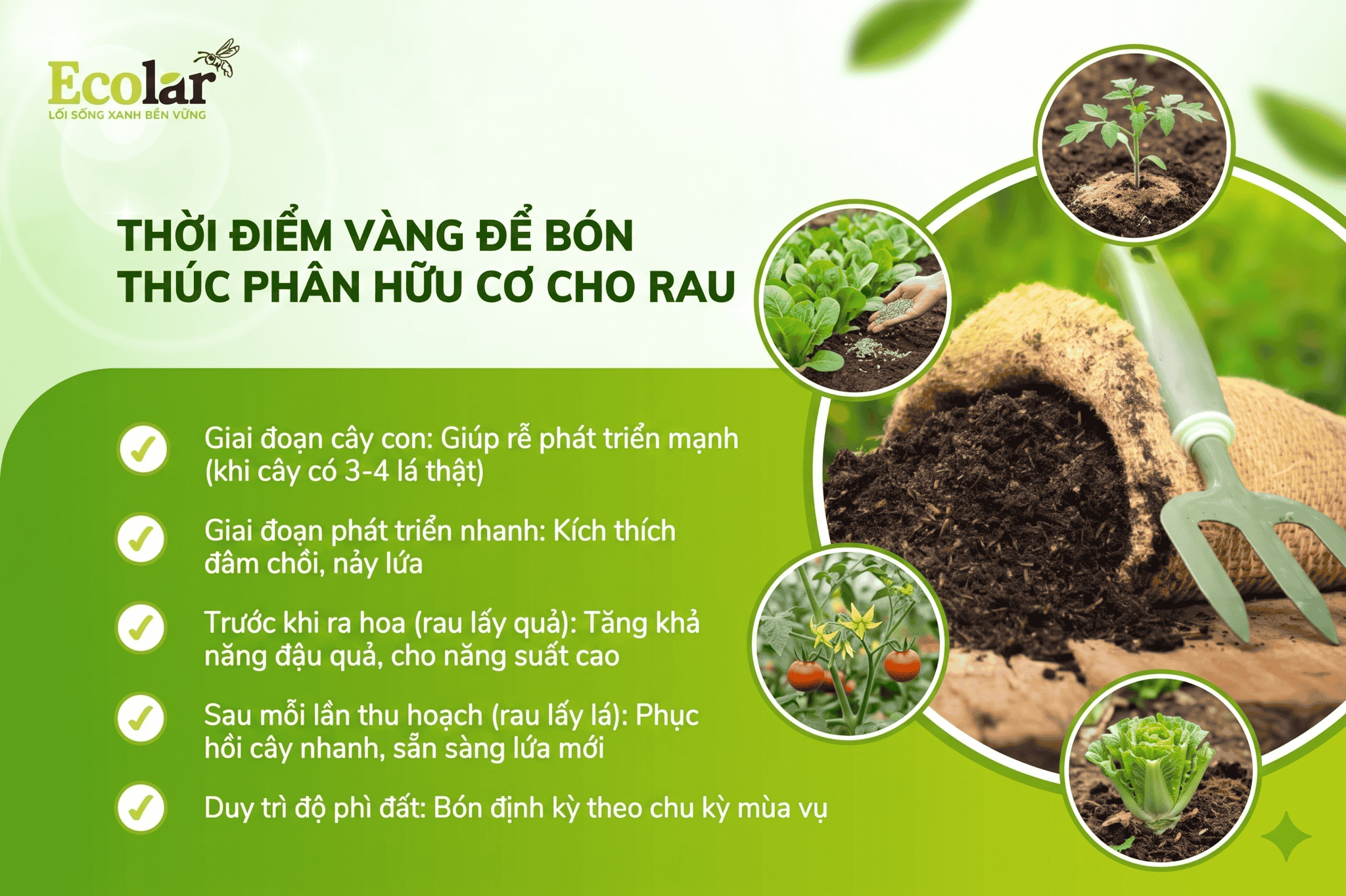 -vang-de-bon-thuc-phan-huu-co-cho-rau_d34127767f854d809c8341307175cafb.png