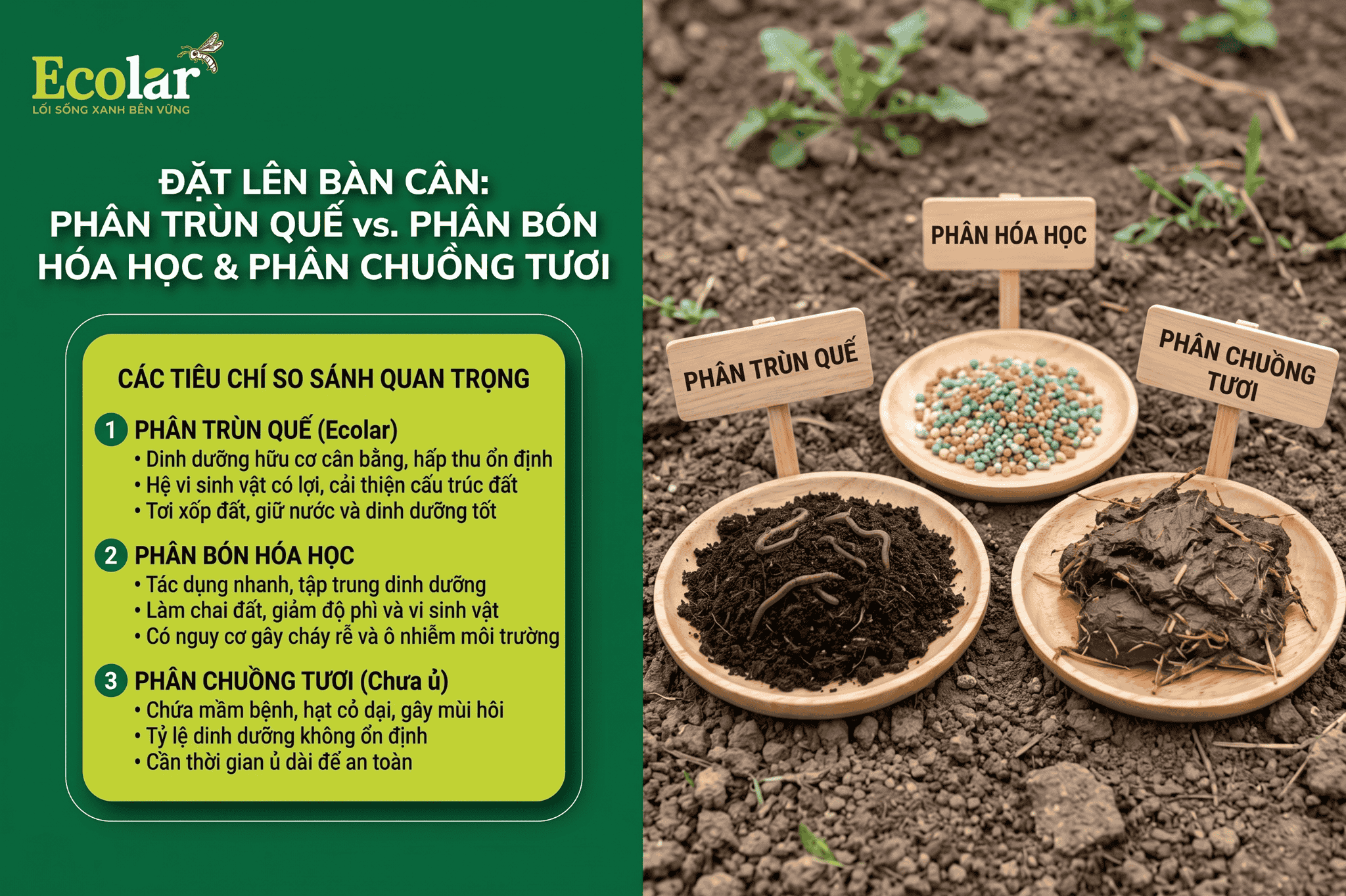 -vs-phan-bon-hoa-hoc-phan-chuong-tuoi_4fca04a705844b53bbd1268cc1ee4ddb (1).png