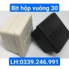 nắp bịt đầu hộp 30x30mm.jpg