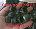 nút bịt trong ống phi 25.jpg