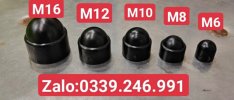 nắp chụp bu lông M10 ,đầu chụp lục giác.jpg