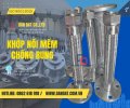 khop-noi-mem-chong-rung.jpg
