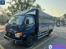 hyundai-7-tan.jpg