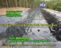 bat-dung-nuoc-nguyenlephat.jpg