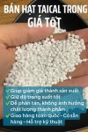 hat-nhua-taical-trong-sale-01.jpg