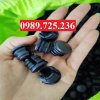 Chup-dau-sat-hop-phi-25mm-chup-ong-sat-bit-dau-ong-thep-trong-phi-25mm-chup-dau.jpg