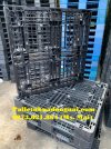 pallet-nhua-tphcm (11).jpg