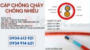 Set Chiến lược phát triển chiến dịch freelance.jpg