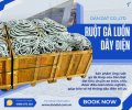 ong-luon-day-dien.jpg