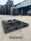 pallet-nhua-1465x1100x122mm (1).jpg