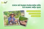 ccach su dung.jpg