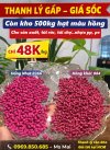 Hồng-thanh lý 48k.jpg