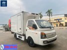 xe-tai-dong-lanh-hyundai-h150-1-tan.jpg