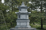 Y (10).png
