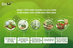 a-chon-cuoi-cung-cho-vuon-rau-nha-ban (1).png