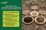 -vs-phan-bon-hoa-hoc-phan-chuong-tuoi_4fca04a705844b53bbd1268cc1ee4ddb (1).png