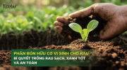 phan-bon-huu-co-vi-sinh-cho-rau-cach-chon-dung_32ba61dc03734c1cbfdc3bc1c0c40c4d.png