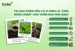 a-chia-khoa-vang-cho-vuon-rau-nha-ban_34716dbc38c84a209dc1427c0601db61.png