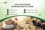 on-khi-dat-qua-kho-hoac-troi-nang-gat_1d3603a2ac5843cda430b68b1f4b0960.png