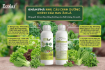 -trung-vao-nitrogen-va-ti-le-can-bang_06422156357641ee92a1fc9caa305d5f (1).png