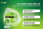 -theo-giai-doan-sinh-truong-rau-an-la_f178d8cfff2b4cc291b5baa84484b806 (1).png