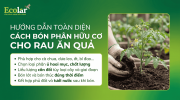 cach-bon-phan-huu-co-cho-rau-an-qua-theo-tung-giai-doan-phat-trien_6b3a1e41bd174de6b5d48ff305b...png