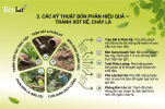 on-phan-hieu-qua-tranh-xot-re-chay-la_cd53fac059c64a00a26cc0fb43da17fc.png