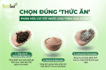 uu-co-nao-tot-nhat-cho-tung-giai-doan_3ee3486ea39e40f6a1c3476a3e42e21e.png