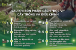 n-cach-doc-vi-cay-trong-va-dieu-chinh_a16786e6c50d4cb4be91ce2ad844d707.png