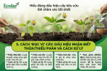 an-biet-thua-thieu-phan-va-cach-xu-ly_ac26545a899f4379b85e1461721d28dd (1).png