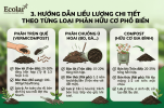 t-theo-tung-loai-phan-huu-co-pho-bien_303a4f8eafca405caf4a7628d654e915 (1).png
